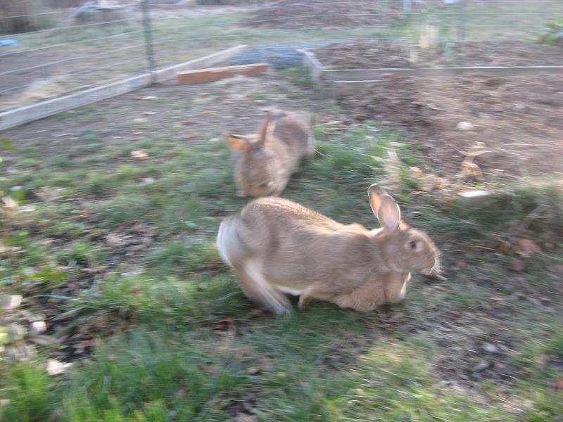 Zoup and Lulu.jpg