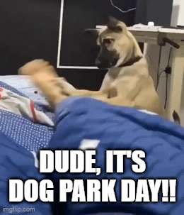 zpark.gif