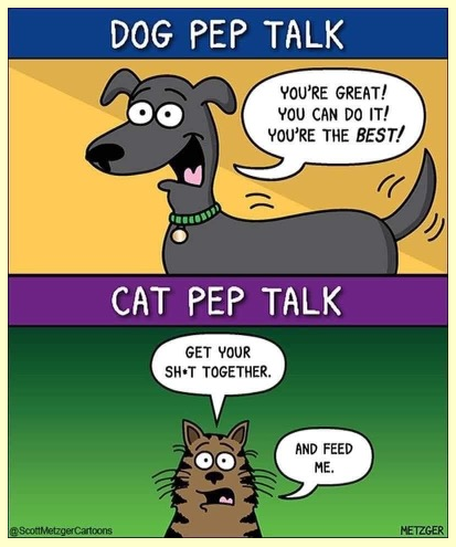 zpep.png