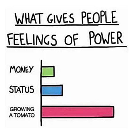 zpower.jpg