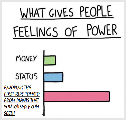 zpower.png