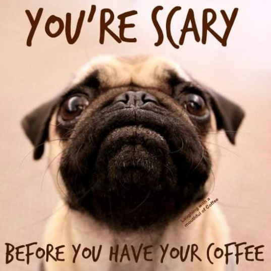 zpug.png