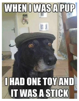 zpup.png