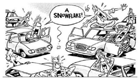 zSnowflake.JPG