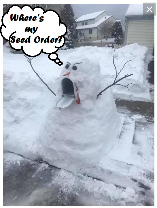 zSnowman.png