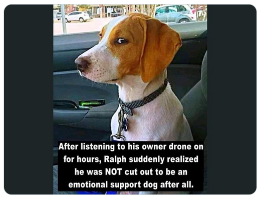 zsupport.png