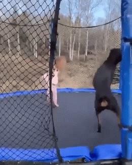 ztrampoline.gif