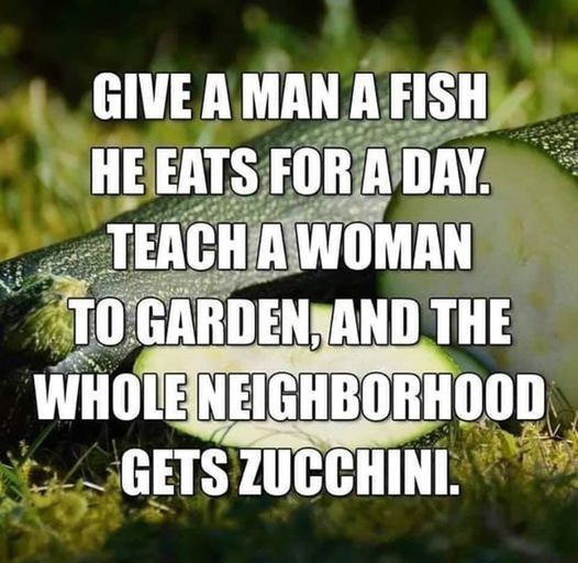 zuchinn.jpg