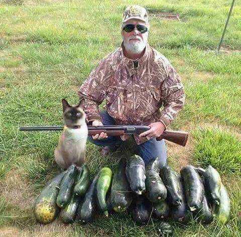 zuchinni hunt.jpg