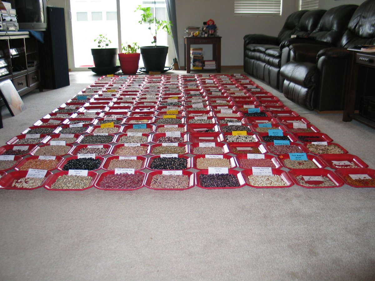 ZV-Bean Plates -#1-2019.JPG
