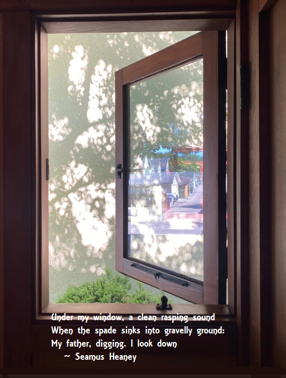 zwindow.png