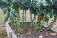 DSC_0005.JPG DSC_0005.JPG