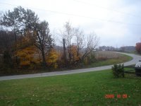 DSC02647.JPG DSC02647.JPG