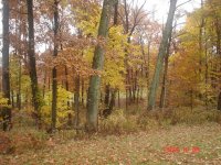 DSC02658.JPG DSC02658.JPG