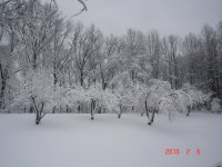 DSC02781.JPG DSC02781.JPG