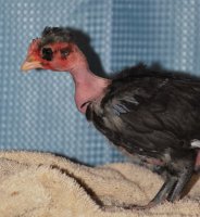 DSC_0056_edited-1.jpg