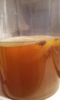 mama scoby.jpg