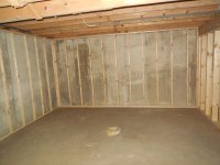 basement growing room.JPG basement growing room.JPG