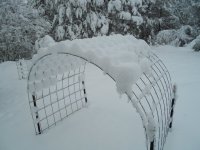 DSCN3412.JPG
