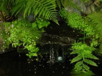 DSCN4063.JPG DSCN4063.JPG