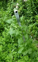 DSCN1659.JPG DSCN1659.JPG