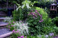 a.Spring in the Garden.JPG a.Spring in the Garden.JPG