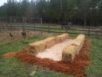 3.5.16 a.jpg 3.5.16 a.jpg