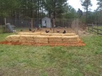 3.5.16.jpg 3.5.16.jpg