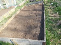 Raised bed cleaned.JPG