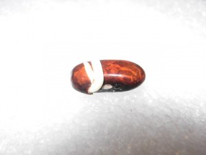 DSCN6533.JPG DSCN6533.JPG