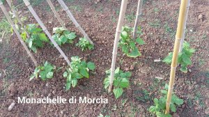 2016-07-14 22.11.07.jpg