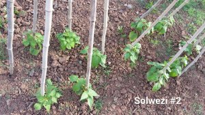 2016-07-14 22.07.34.jpg