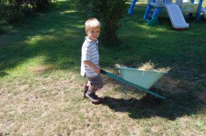 Landon and wheelbarrow.jpg