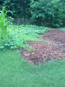 IMG_4607.JPG IMG_4607.JPG