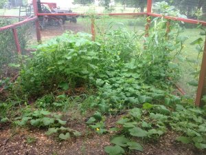 IMG_4644.JPG IMG_4644.JPG