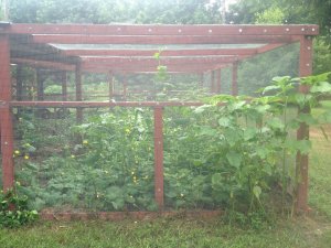 IMG_4639.JPG IMG_4639.JPG