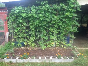 IMG_4636.JPG IMG_4636.JPG