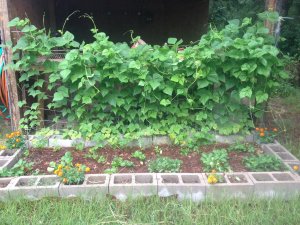 IMG_4637.JPG IMG_4637.JPG