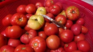 IMG_20160831_094617137.jpg IMG_20160831_094617137.jpg