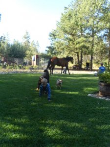DSCN4127.JPG