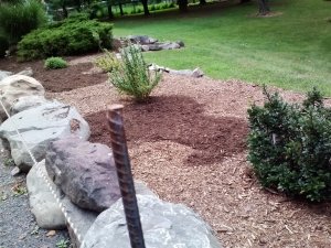 cornergarden5.jpg
