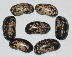 Jankowski Seg #1.jpg