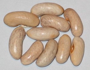 Kishwaukee Green Segregation #2.jpg