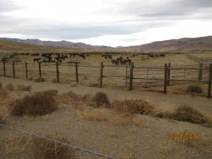 IMG_0195.JPG
