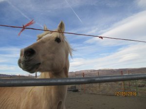 2016-12-09 01.32.25.jpg