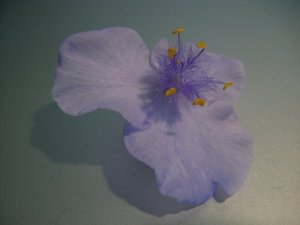 DSCN5470.JPG