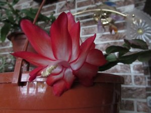 IMG_3494.JPG