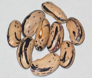 WB-PKT #14 - Seg #1.jpg WB-PKT #14 - Seg #1.jpg