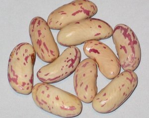 WB-PKT #16 Seg #1.jpg WB-PKT #16 Seg #1.jpg