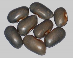 WB-PKT #17.jpg WB-PKT #17.jpg